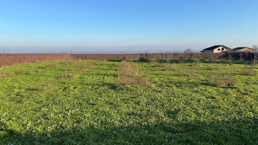 Teren Rezidential De vanzare